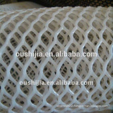 white plastic plain netting(The factory)